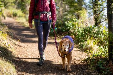 Ruffwear Overcoat Fuse Jacket Purple Sage Gr. XL